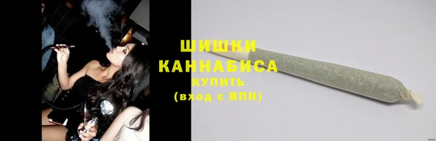 шишки Магас