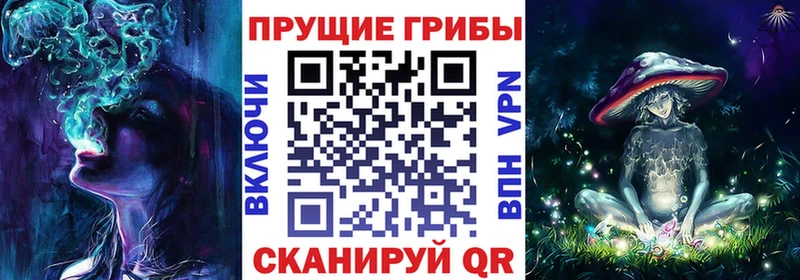 Галлюциногенные грибы MAGIC MUSHROOMS  цены   Белокуриха 
