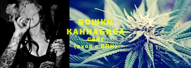 Конопля OG Kush  Белокуриха 